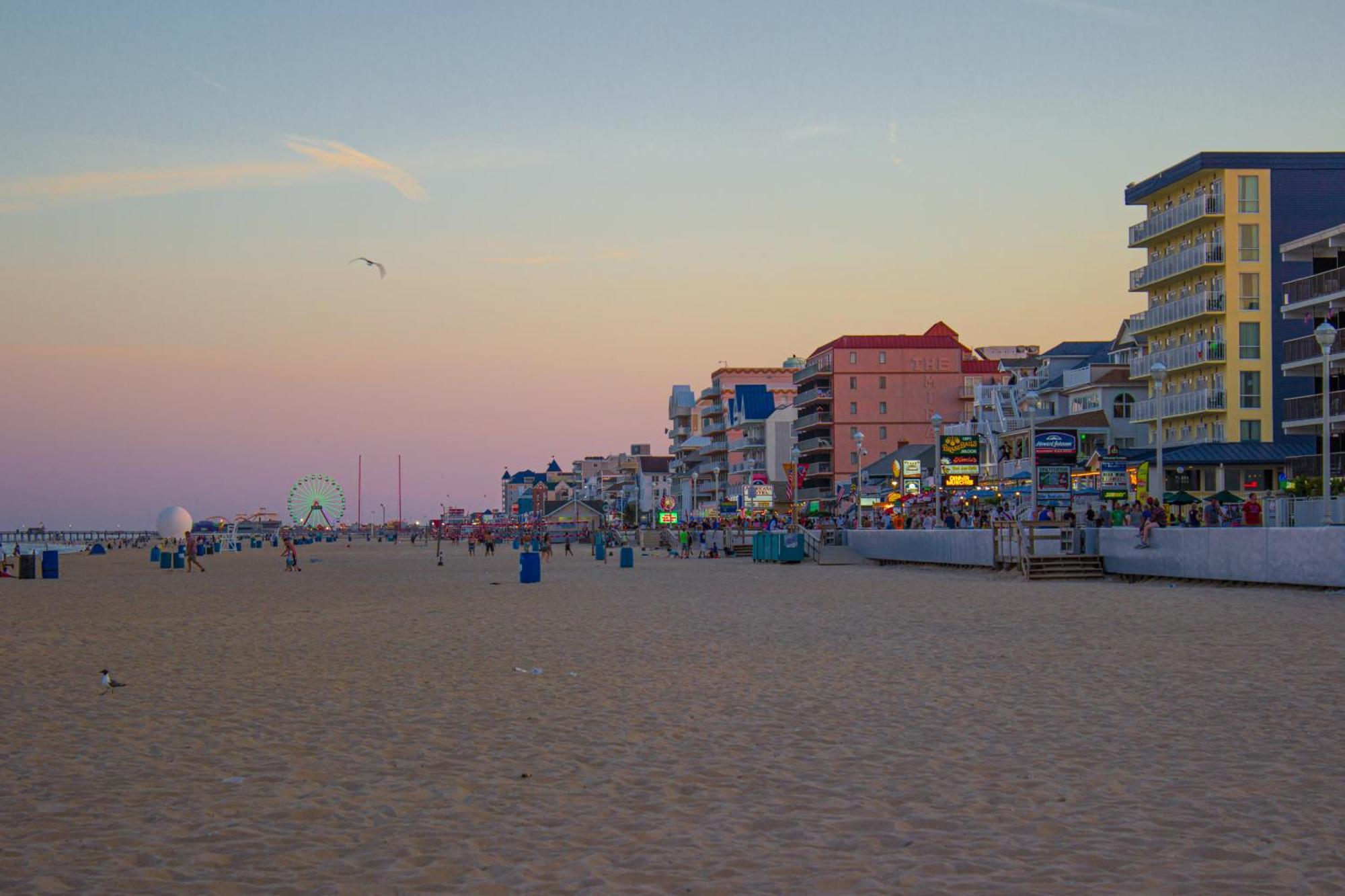 Beach House Ocean City Room photo